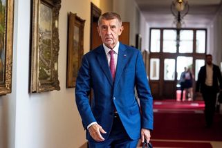 Pávi prý vidí růžovou budoucnost, překvapil Andrej Babiš